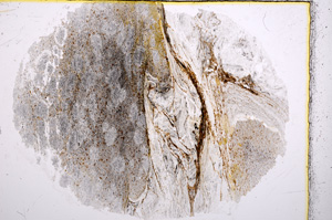 Plane Polarized, E16198