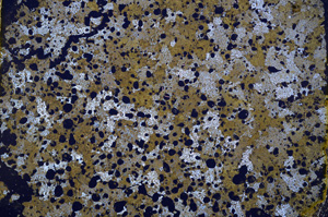 Cross Polarized, E16241