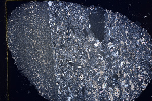 Cross Polarized, E16250