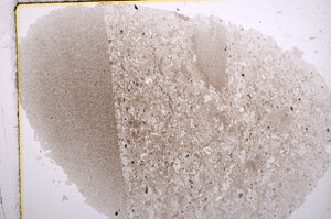 Plane Polarized, E16250