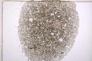 Plane Polarized, E16292