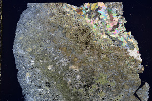 Cross Polarized, E16294