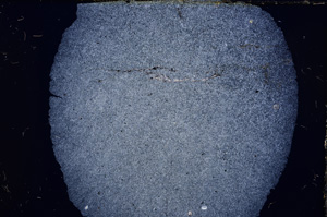 Cross Polarized, E16295
