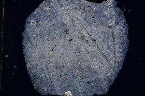 Cross Polarized, E16301