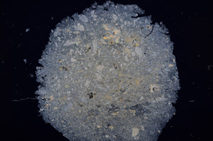Cross Polarized, E16302