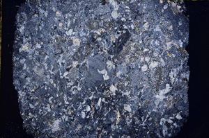 Cross Polarized, E16304