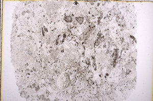 Plane Polarized, E16304