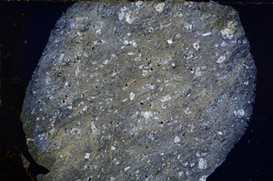 Cross Polarized, E16306