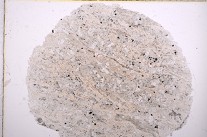 Plane Polarized, E16307