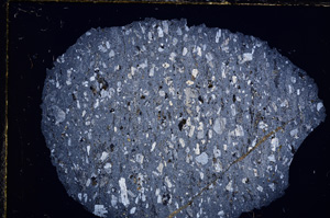 Cross Polarized, E16308