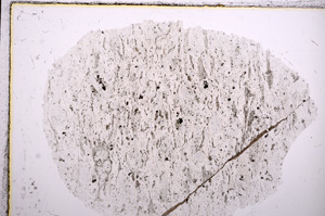 Plane Polarized, E16308