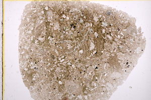 Plane Polarized, E16311