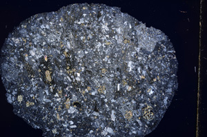 Cross Polarized, E16314