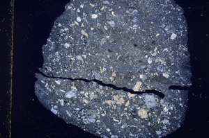 Cross Polarized, E16316