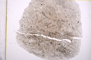 Plane Polarized, E16316