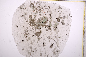 Plane Polarized, E16319