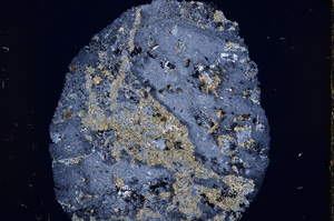 Cross Polarized, E16323