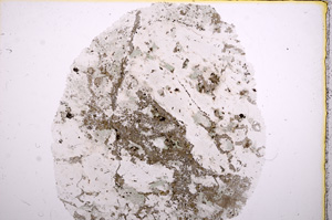 Plane Polarized, E16323