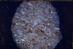 Cross Polarized, E16324