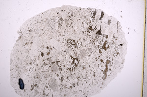 Plane Polarized, E16325