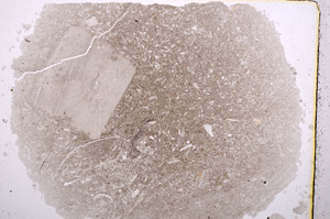 Plane Polarized, E16327