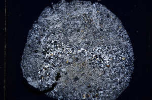 Cross Polarized, E16370