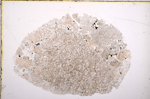 Plane Polarized, E16371