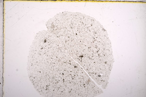 Plane Polarized, E16372