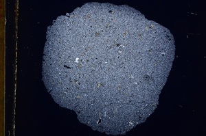 Cross Polarized, E16373