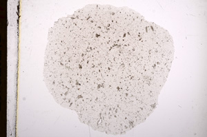 Plane Polarized, E16373