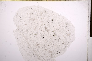 Plane Polarized, E16374