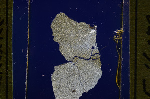 Cross Polarized, E16378