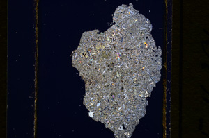 Cross Polarized, E16391