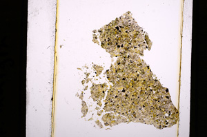 Plane Polarized, E16407