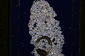 Cross Polarized, E16414