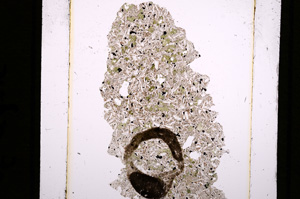 Plane Polarized, E16414