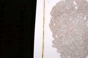 Plane Polarized, E16417