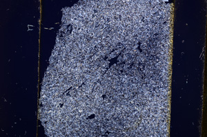 Cross Polarized, E16425