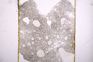 Plane Polarized, E16426