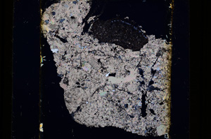 Cross Polarized, E16428