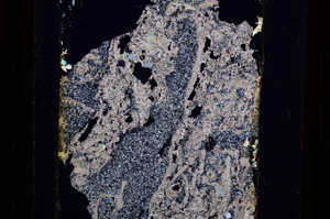 Cross Polarized, E16429