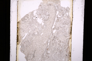 Plane Polarized, E16429