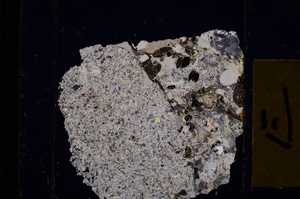 Cross Polarized, E16433