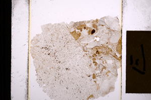 Plane Polarized, E16433