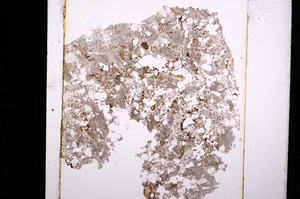 Plane Polarized, E16439