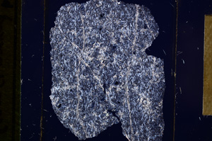 Cross Polarized, E16446
