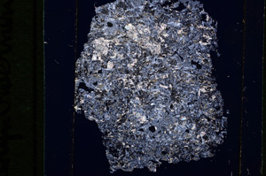 Cross Polarized, E16585