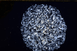 Cross Polarized, E16671