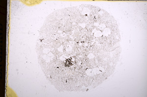 Plane Polarized, E16673