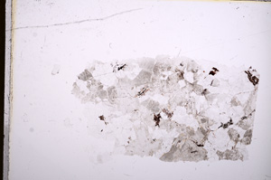 Plane Polarized, E16680